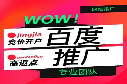 百度推广优化：案例分析网站流量翻倍技巧